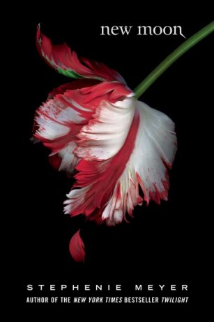 new moon3.jpg